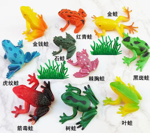 TOY FROG 3-5.5CM 1PC