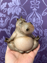 Load image into Gallery viewer, WACKY HIPPO YOGA 12*12CM 1PC
