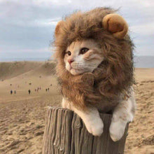 Load image into Gallery viewer, LION RUFF DOG AND CAT HEADWEAR
