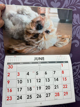 Load image into Gallery viewer, 2024 CALENDAR A4 DOGS
