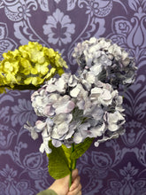 Load image into Gallery viewer, ARTIFICIAL HYDRANGEAS 70CM 1PC

