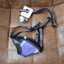 Load image into Gallery viewer, Small dag harness &amp; lead set 1.5*120cm s
