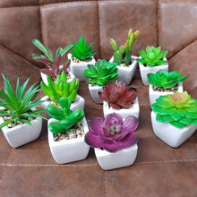 Load image into Gallery viewer, Artificial succulents with pot 1pc
