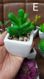 Artificial succulents with pot 1pc