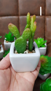 Artificial succulents with pot 1pc