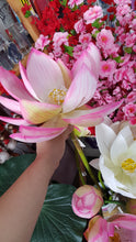 Load image into Gallery viewer, ARTIFICAL FLOWER LOTUS 90CM 1PC

