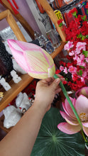 Load image into Gallery viewer, ARTIFICAL FLOWER LOTUS 90CM 1PC
