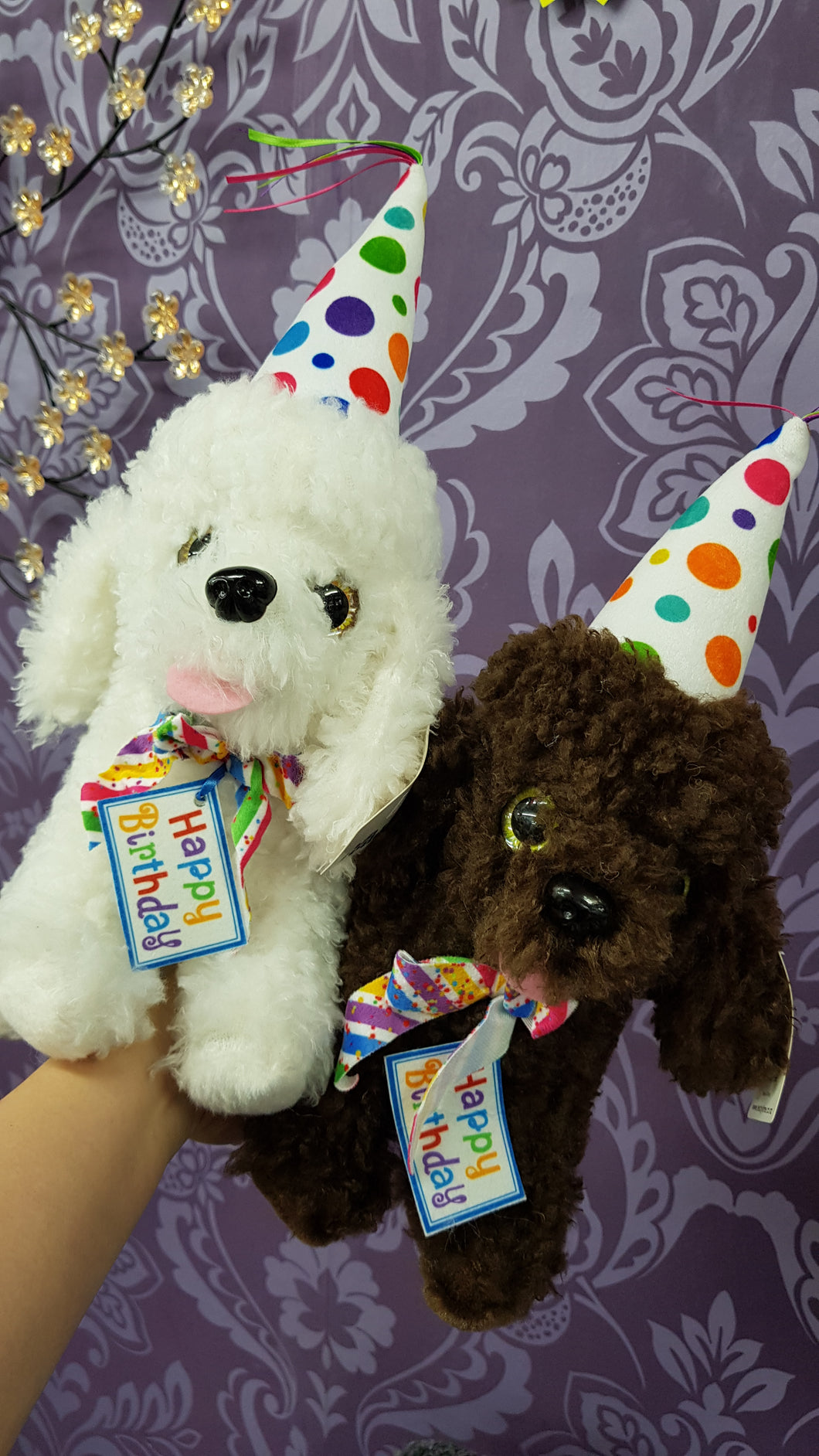 Happy birthday poodle 24cm