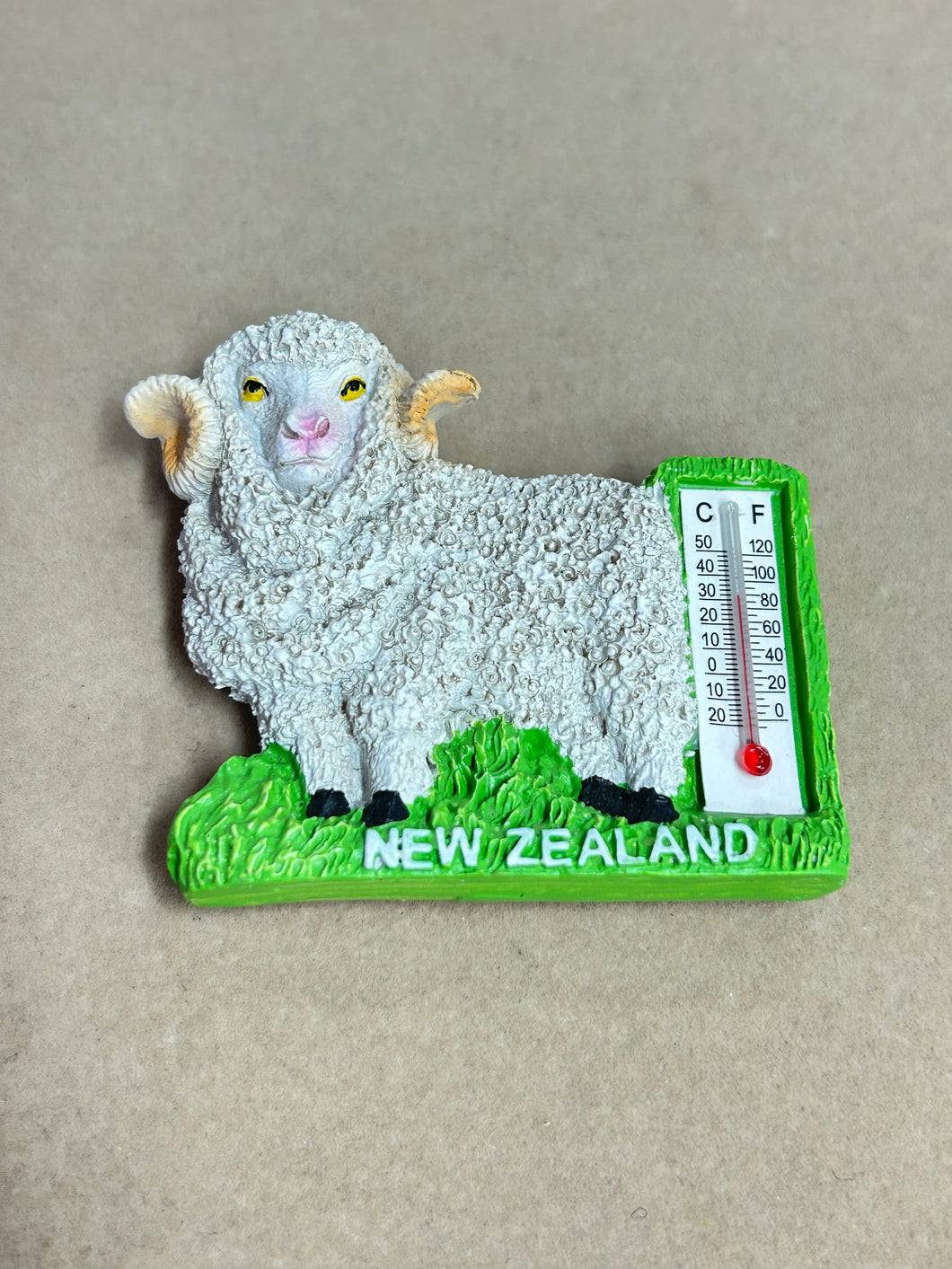 MAGNET THERMOMETER RAM