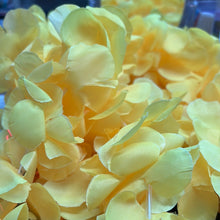 Load image into Gallery viewer, FLOWER LEIS 1.3M 1PC
