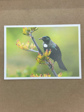 Load image into Gallery viewer, POST CARD TUI 1PC
