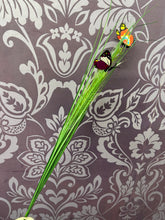 Load image into Gallery viewer, BUTTERFLIES GRASS 75CM 1 BUNCH
